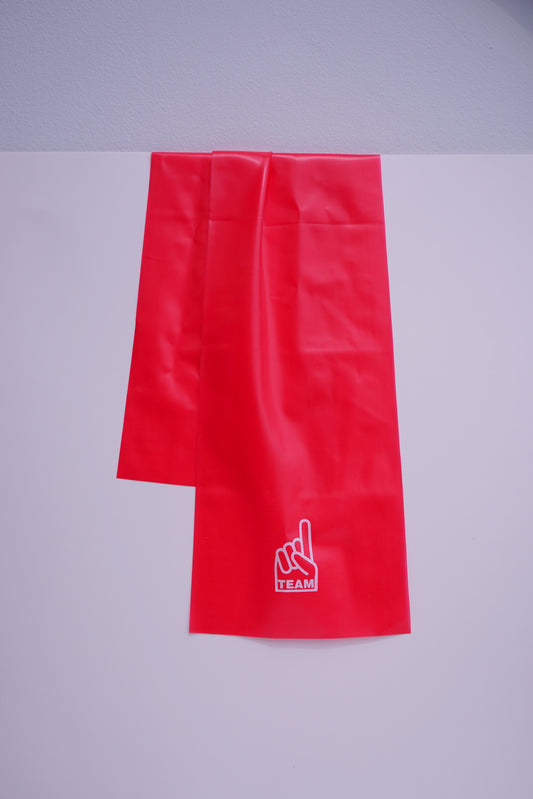 BUNDLE* Resistance Exercise Bands