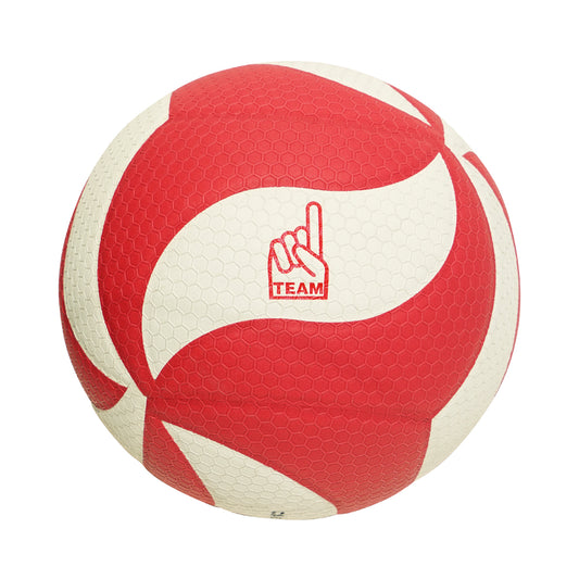 OTOD Volleyball