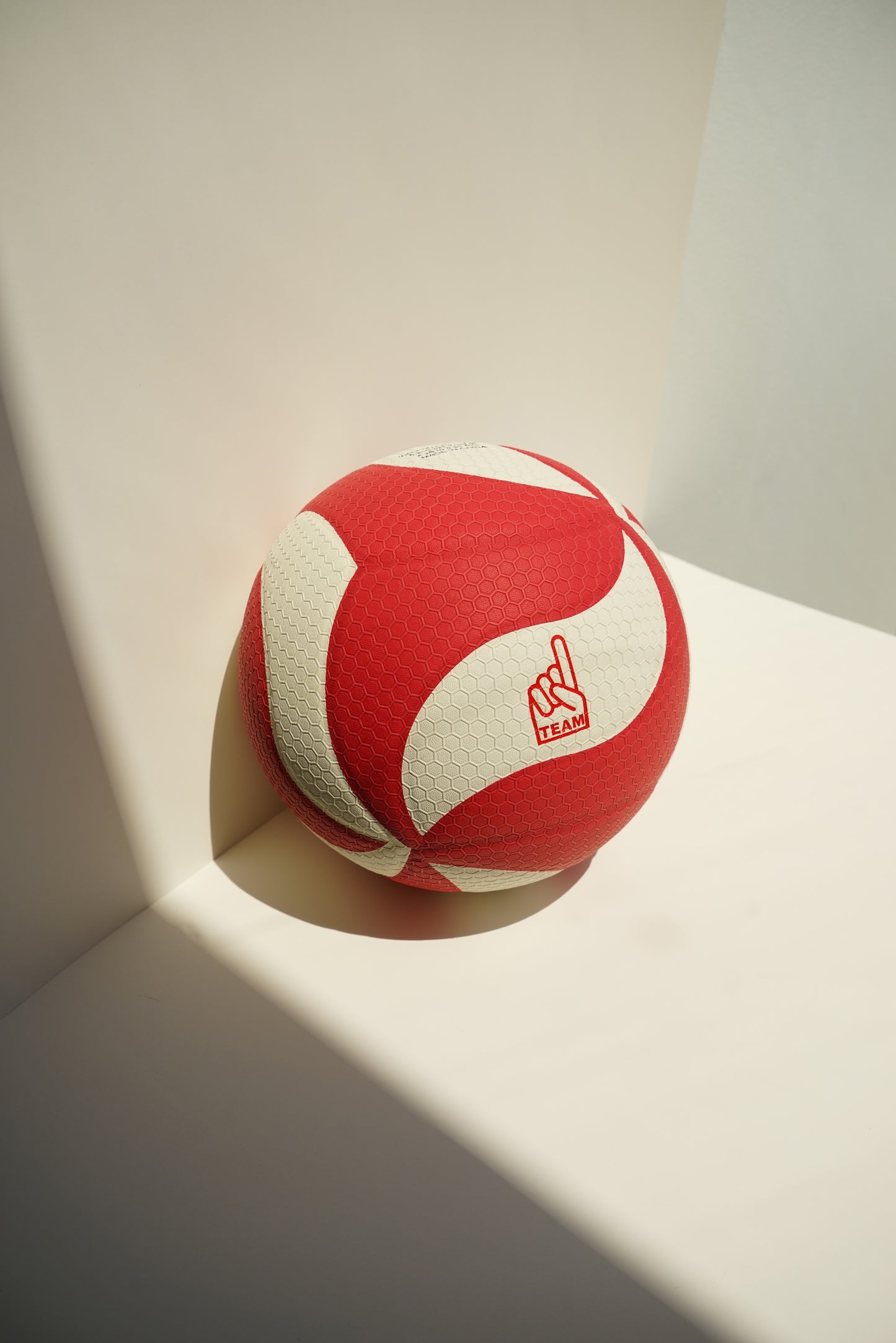 OTOD Volleyball
