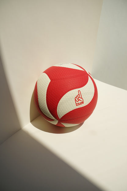 OTOD Volleyball